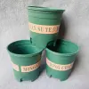 【 Outside 】 1-gallon flowerpot 400 yuan per piece. 1-gallon flowerpot with plastic printing, green plants, pothos, drainage, rose and orchid. Wholesale supply details Picture